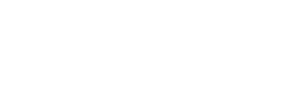 懒鸟飞演示站